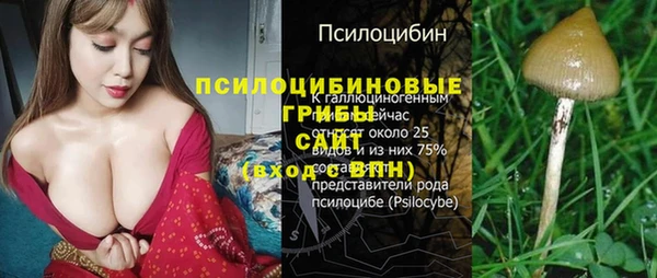 спиды Алексин