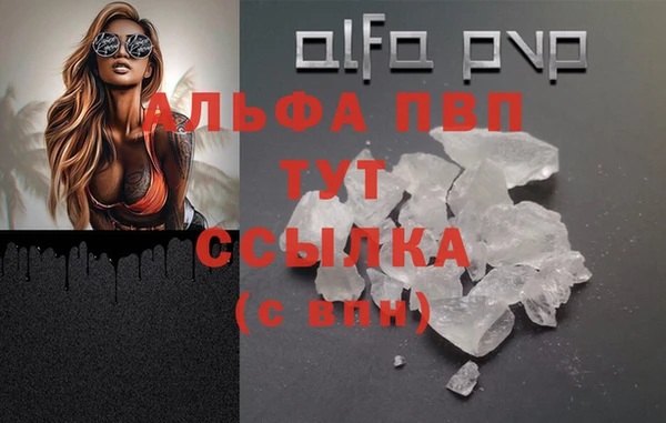 прущий лед Абаза