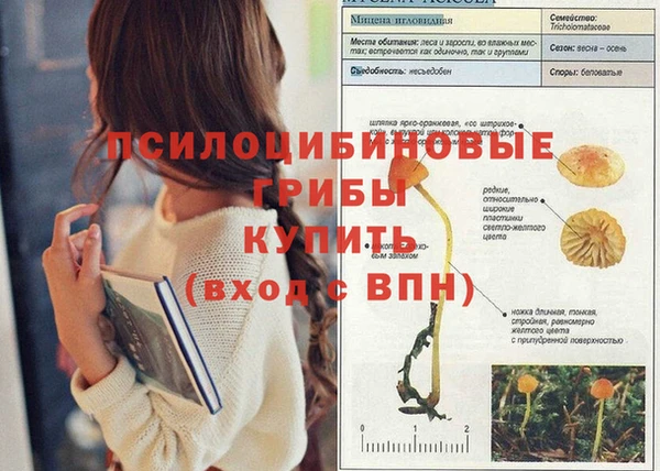кокаин Абинск