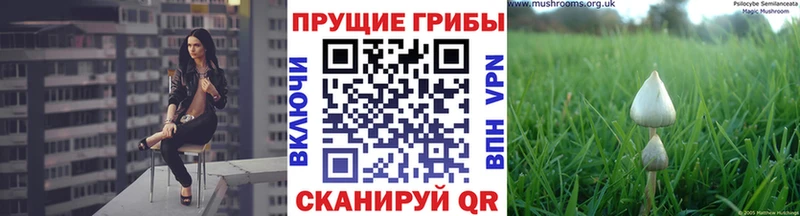 наркотики  гидра сайт  Галлюциногенные грибы мухоморы  Ейск 