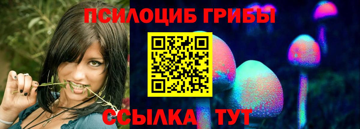 Ейск  Галлюциногенные грибы прущие грибы  Псилоцибиновые грибы Magic Shrooms  Вход с VPN 